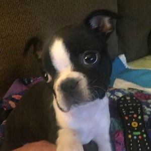 Meet your Posher, Debbie